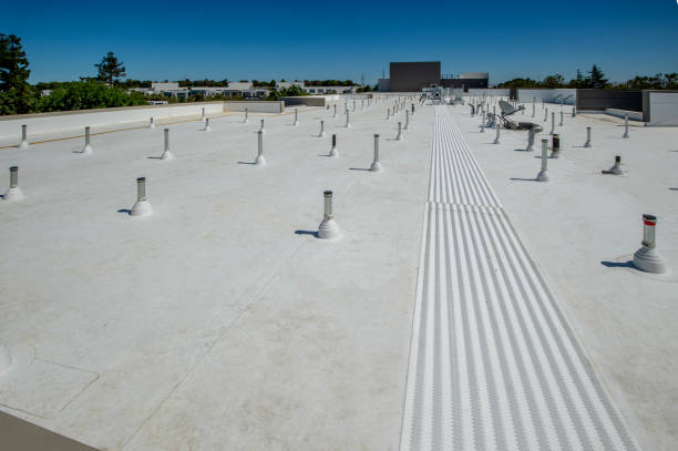 Best Gutter Installation and Repair  in Roswell, NM
